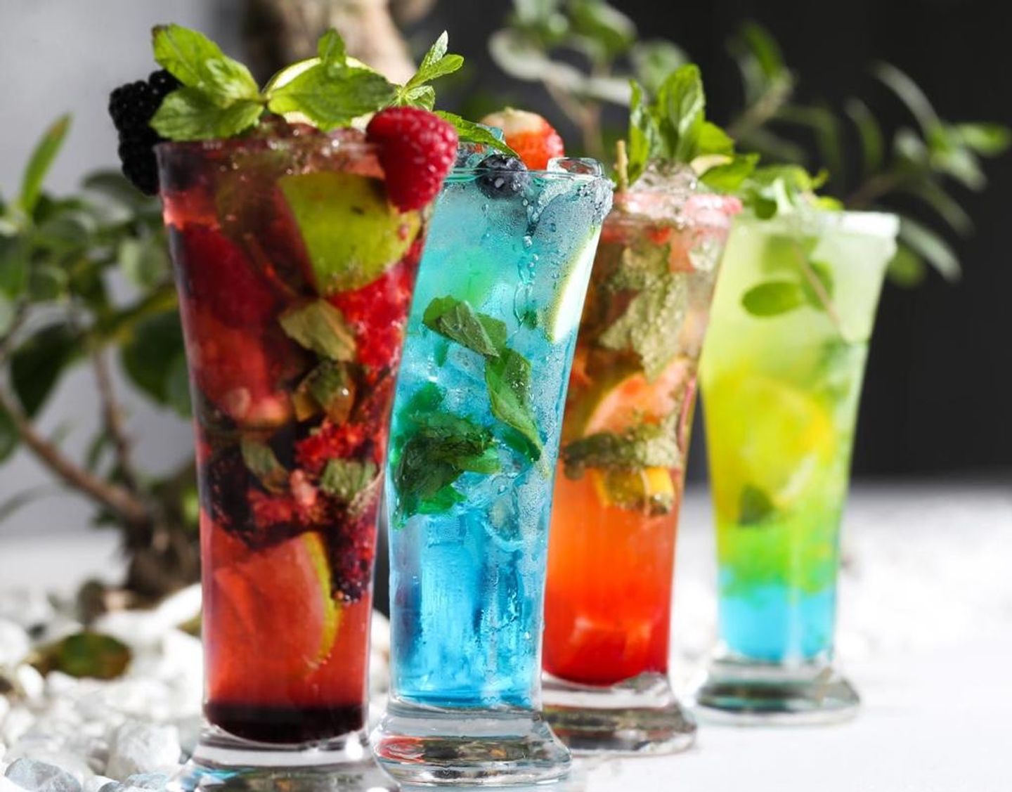 Mojito