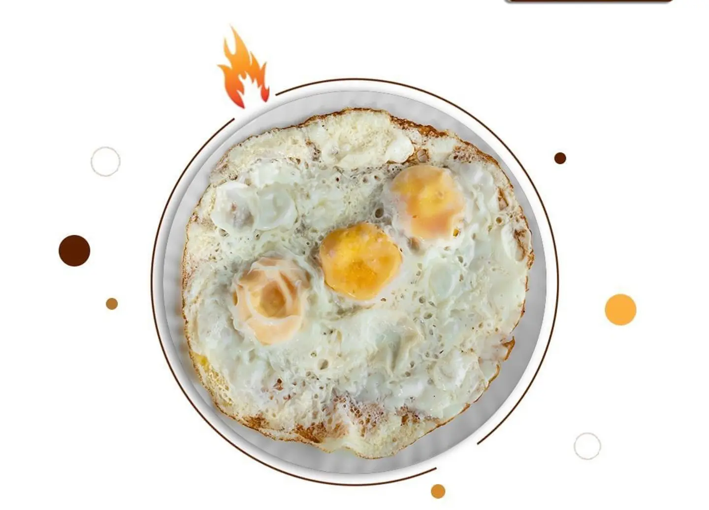 بيض