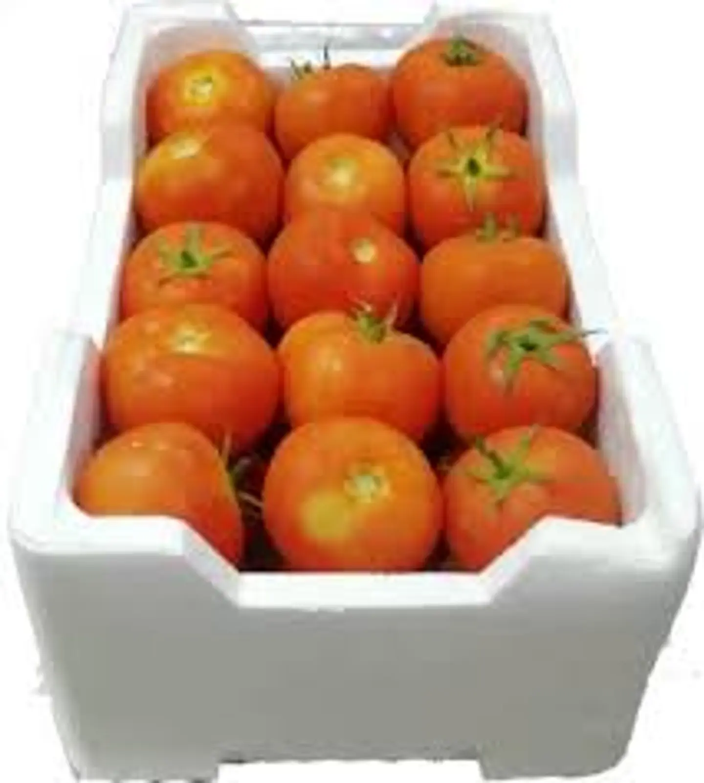 Tomatoes
