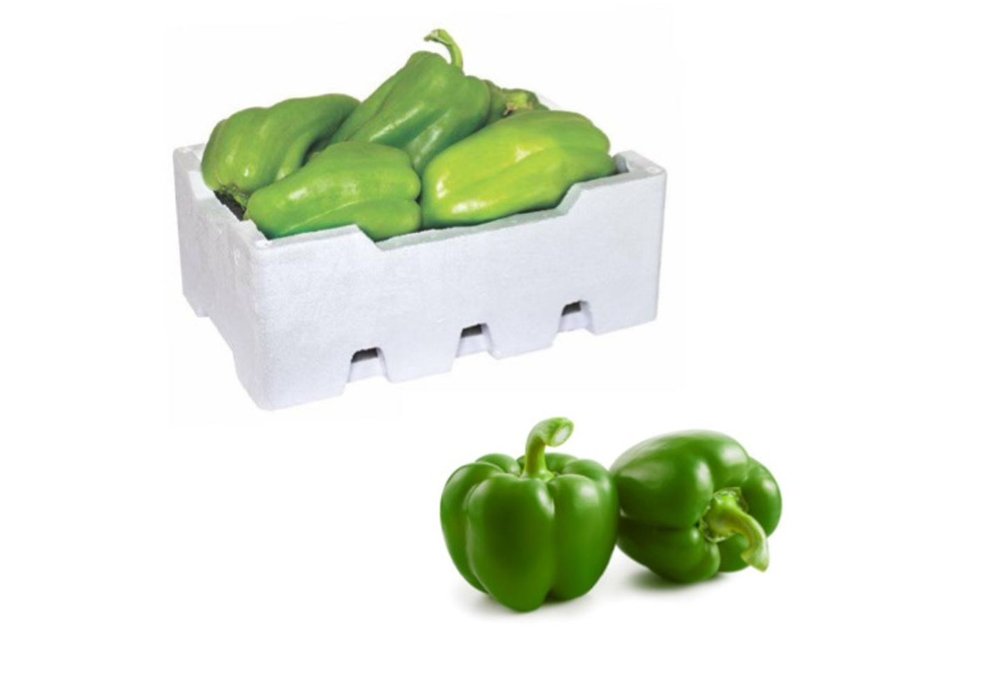 Bell Pepper