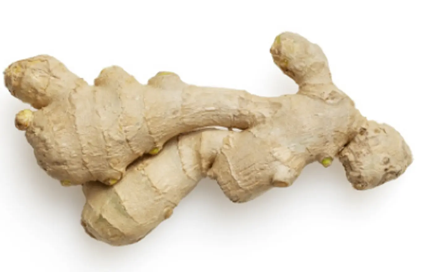 Ginger
