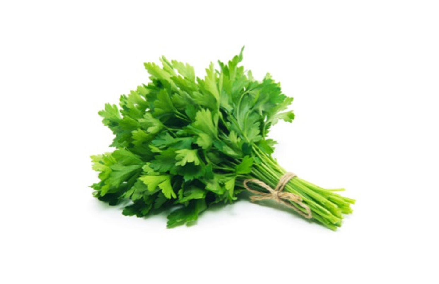 Coriander