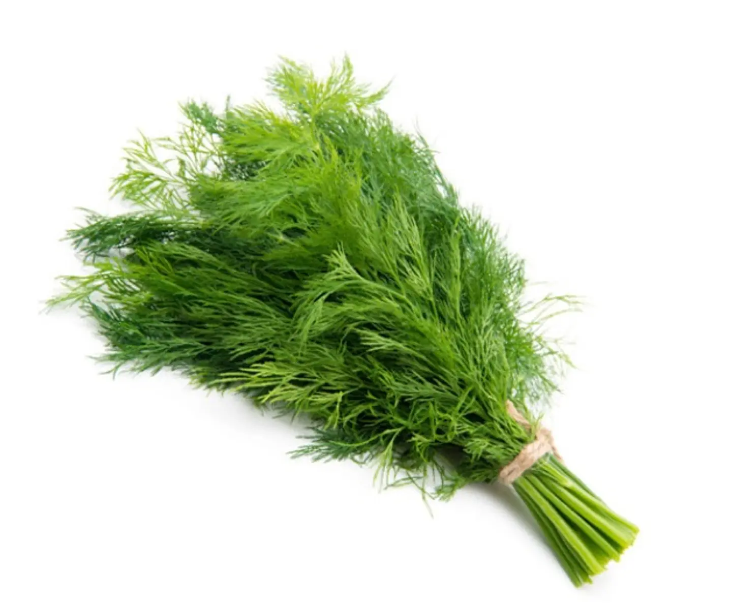 Dill