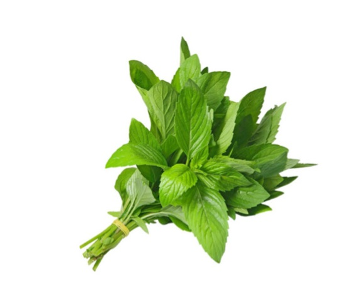 Mint
