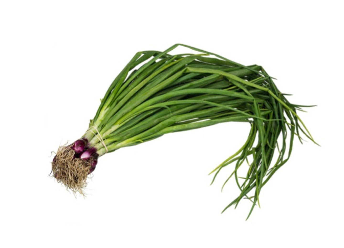 Green Onion