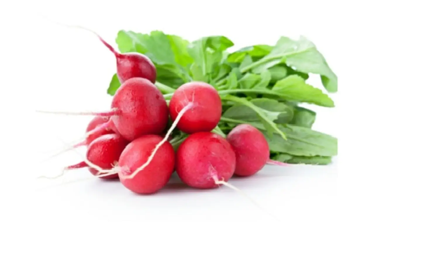 Red Radish