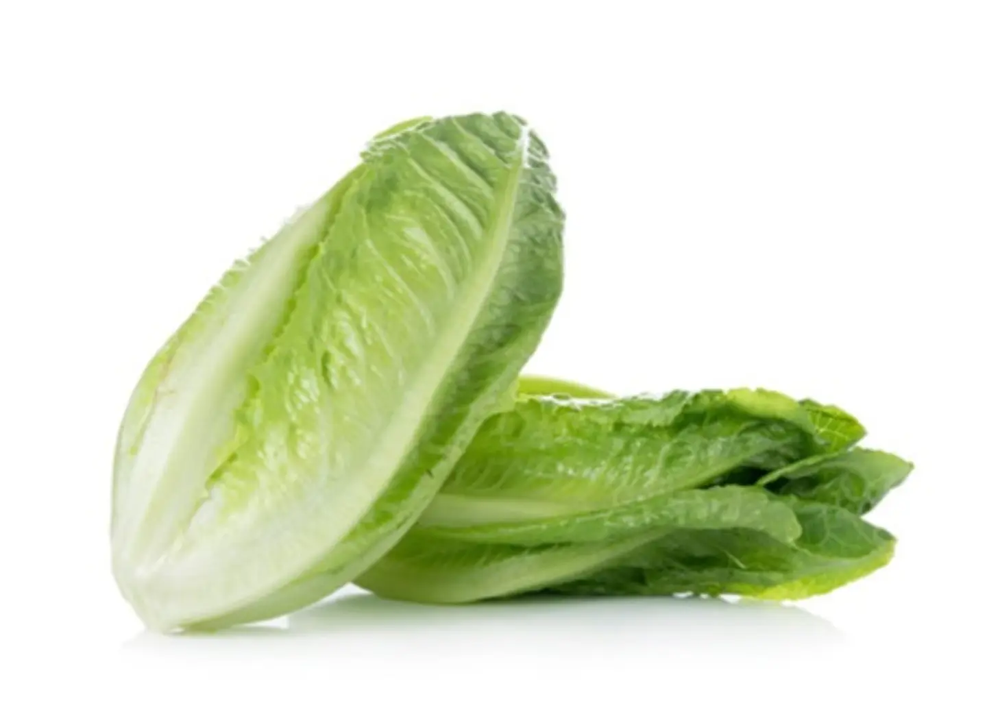 Lettuce