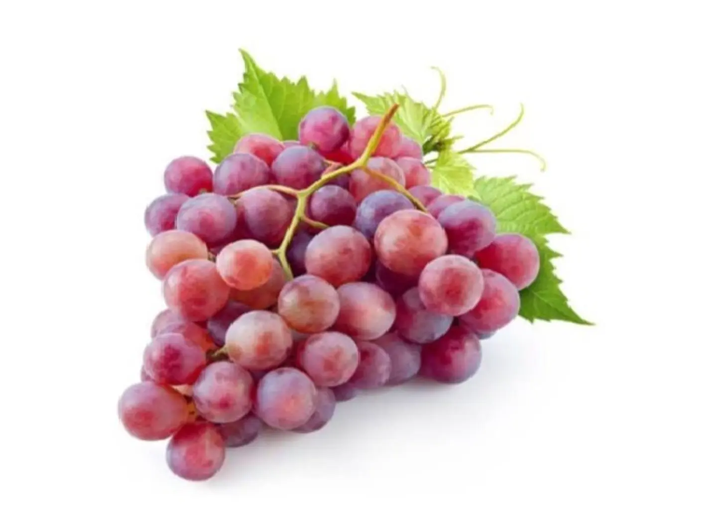 Red Grapes