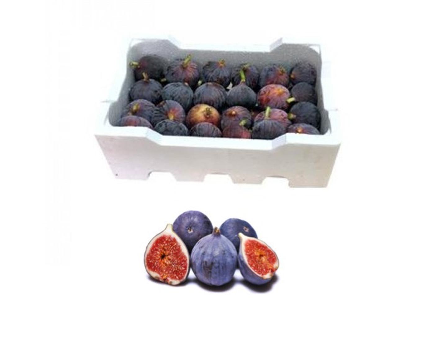 Fig