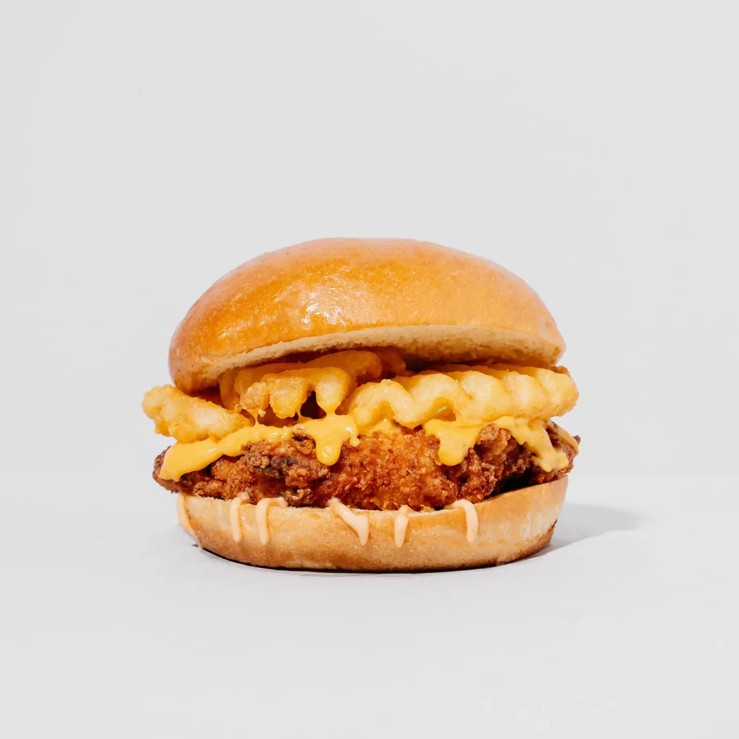 Npt Chicken
