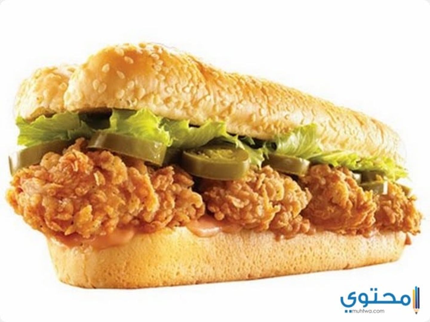جامبو زنجر