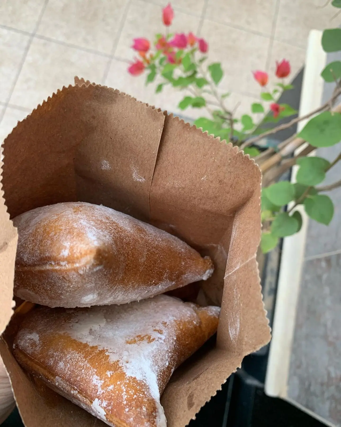 كباجي لوتس