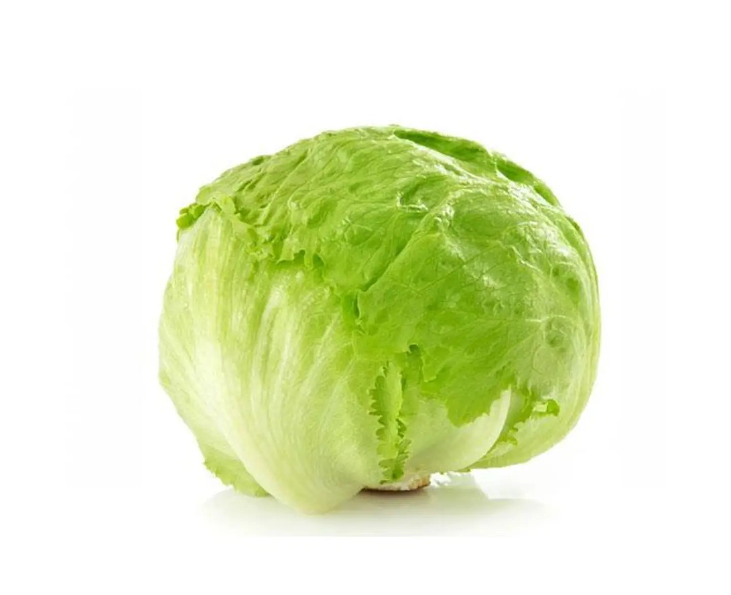 American Lettuce