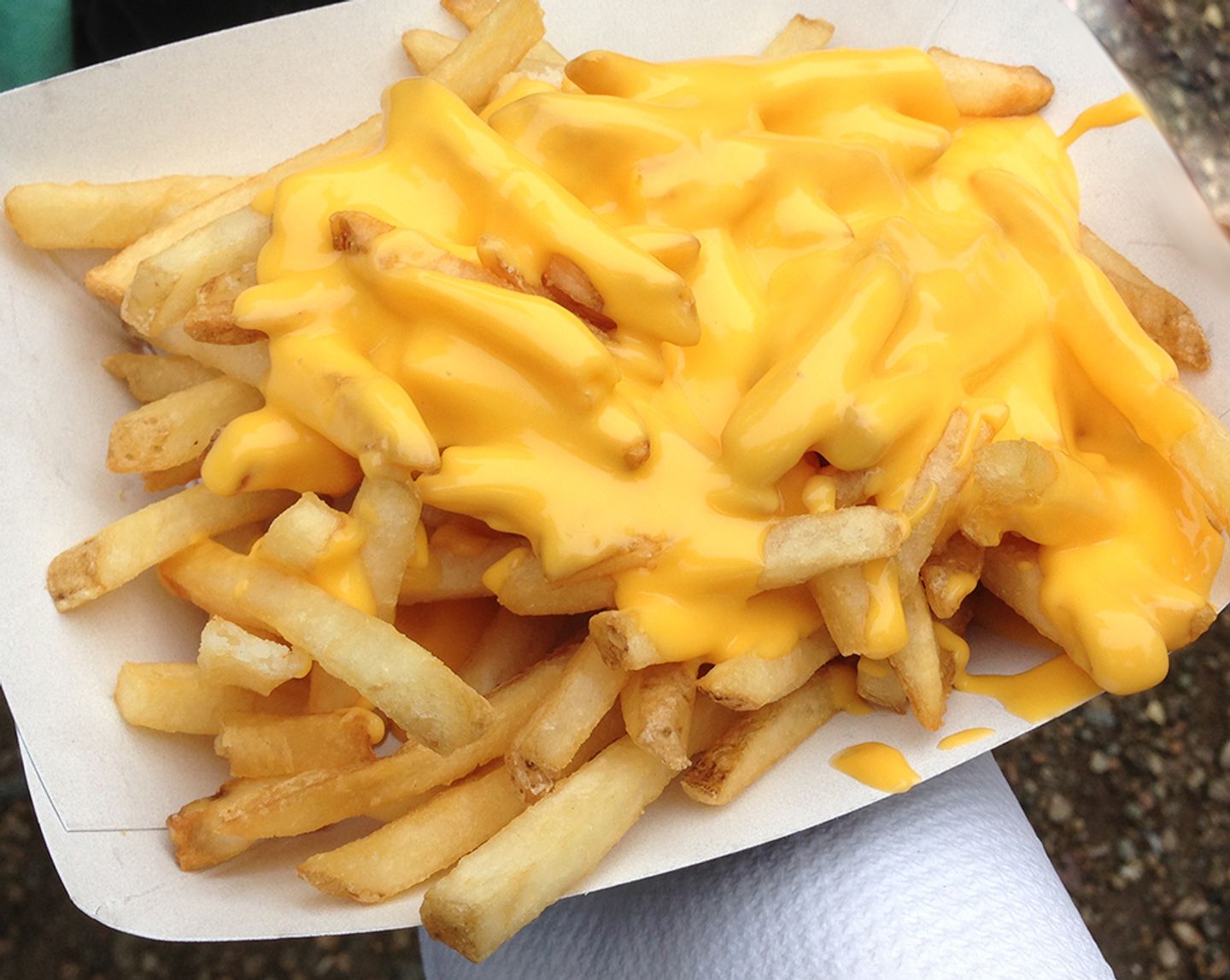 Regular Fries With Cheese