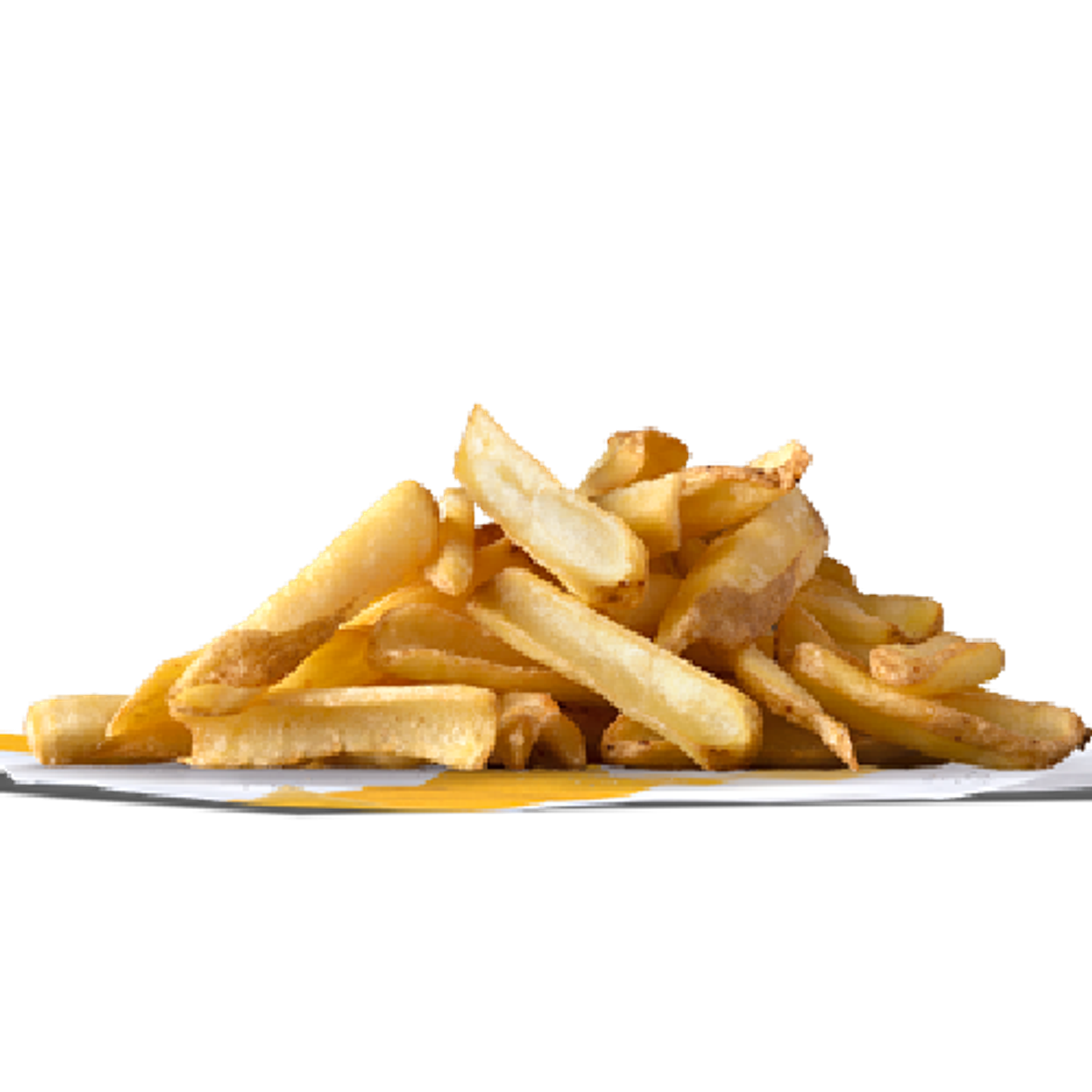 Signature Fries