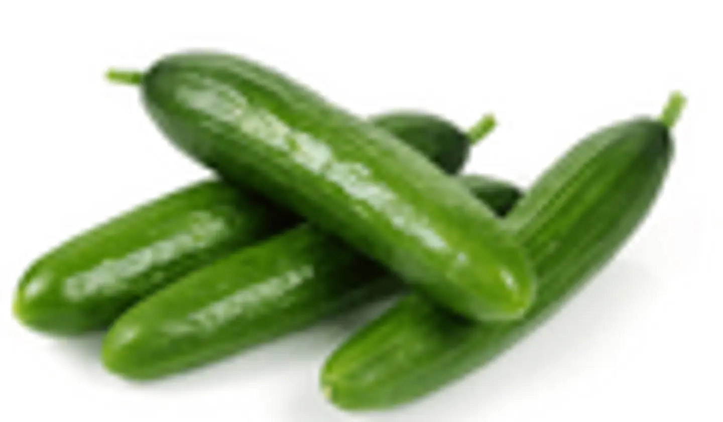 Cucumber