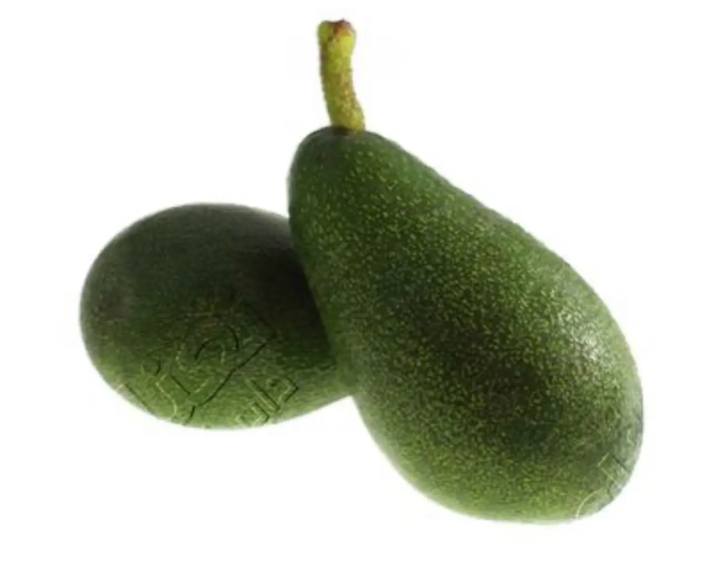 Avocado