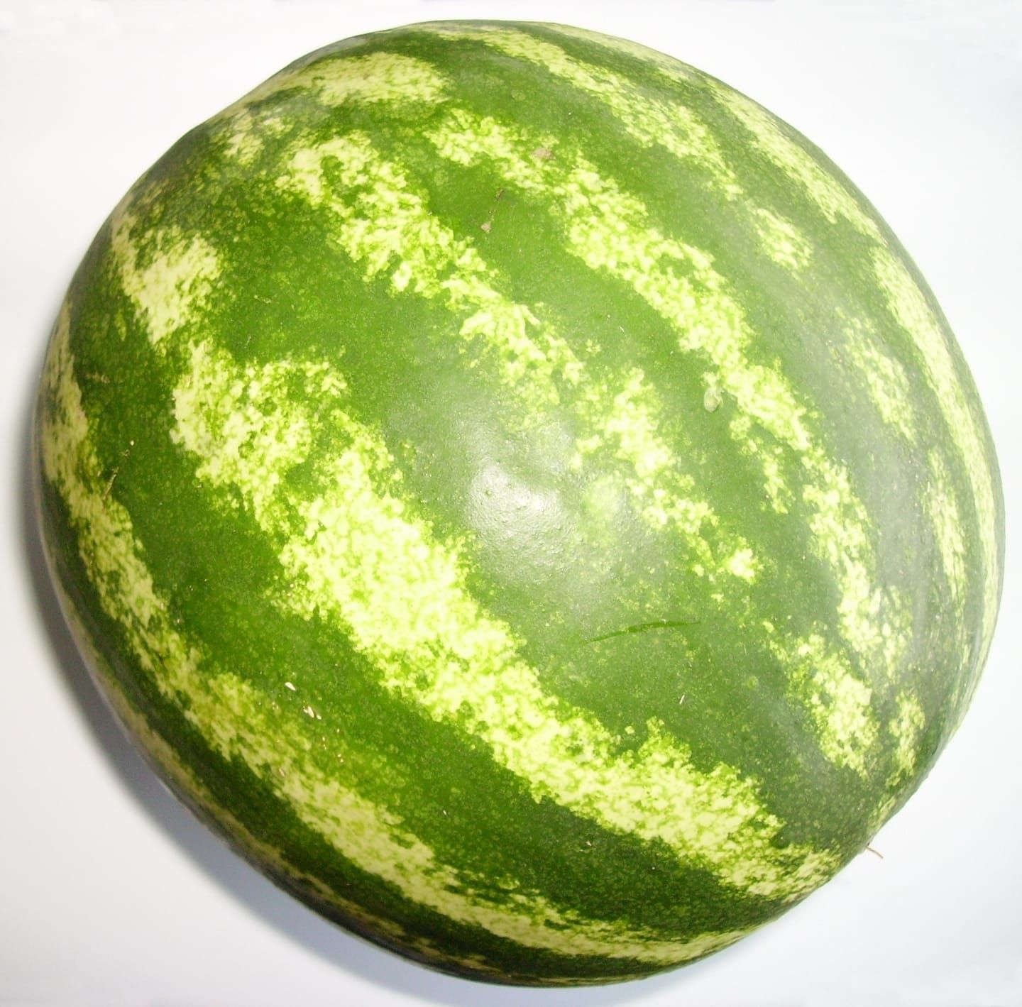 حبحب