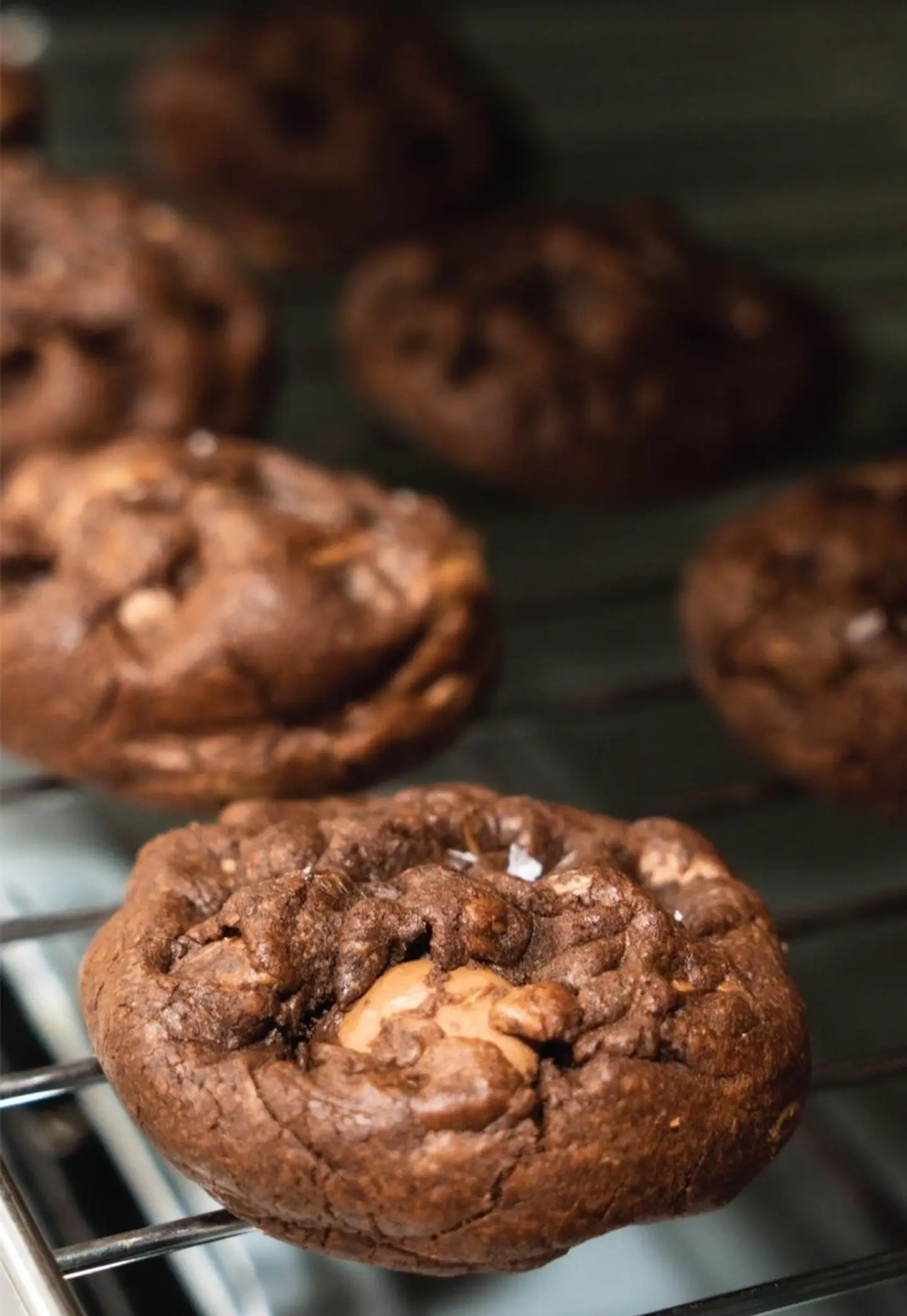 Brownie Cookies
