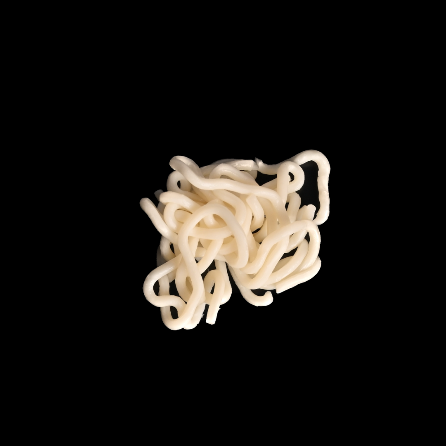 Japanese Noodles (Udon)