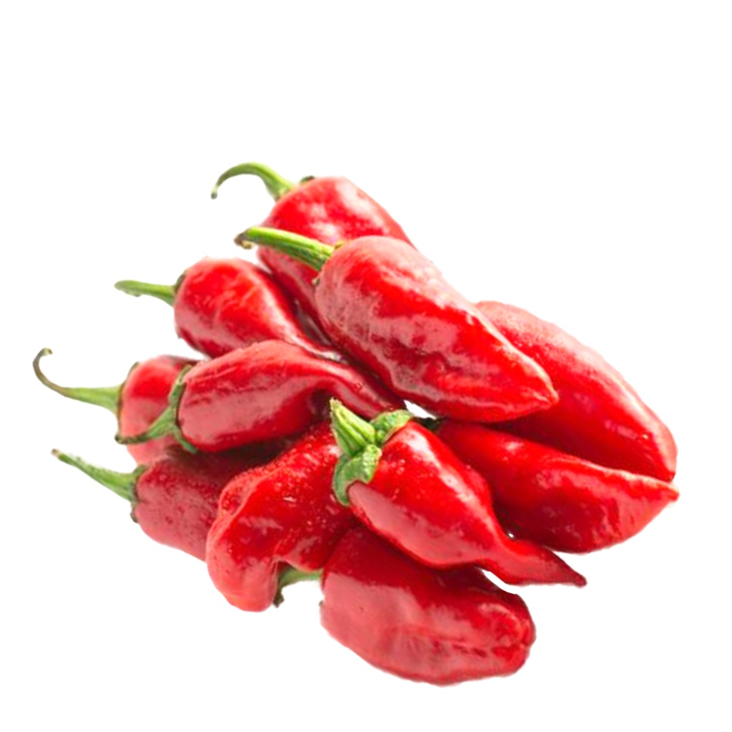 Shaqra Pepper