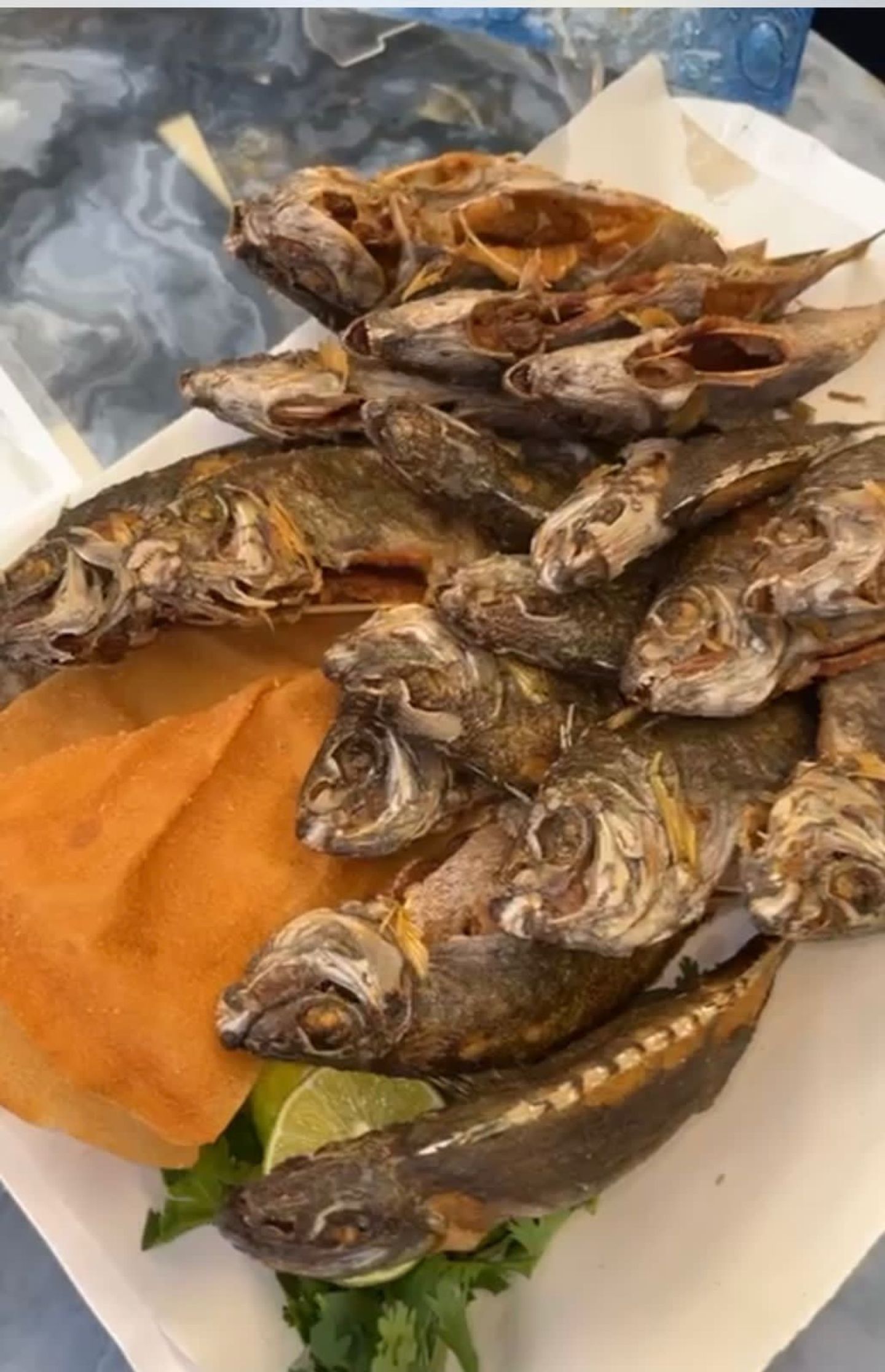 سيجان مقلي