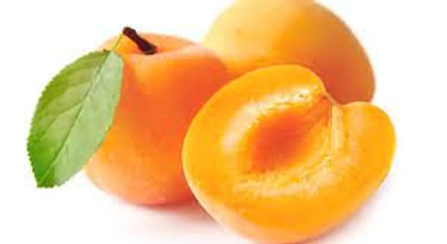 Apricot