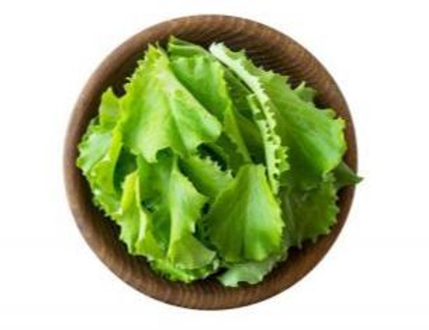 شرائح الخس