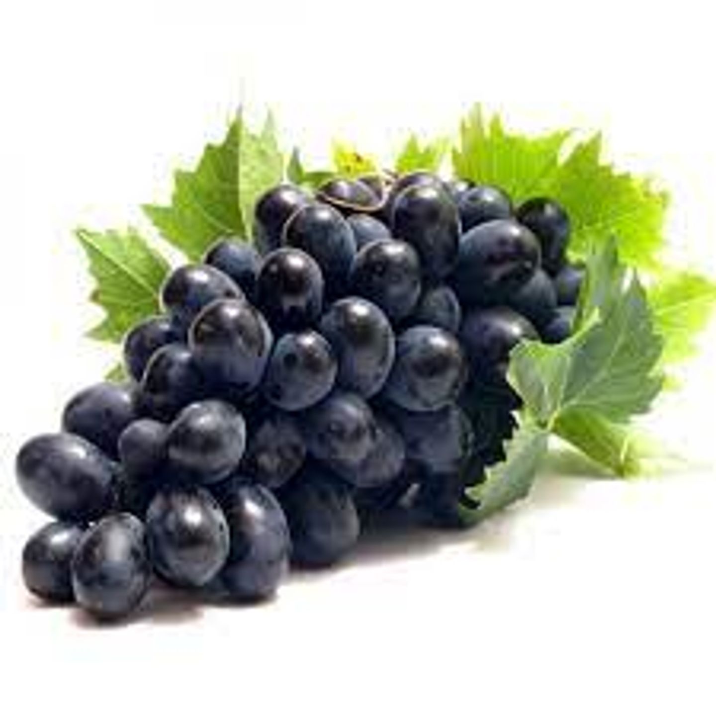 Black Grapes