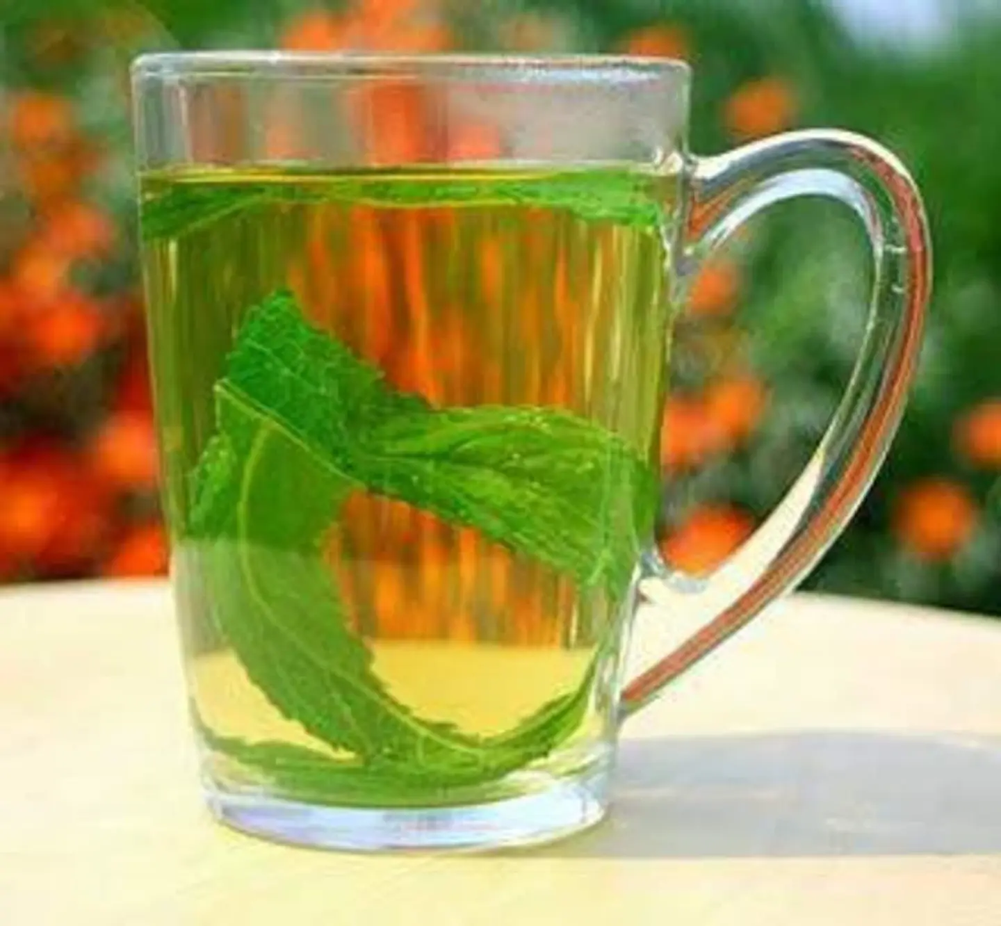 نعناع