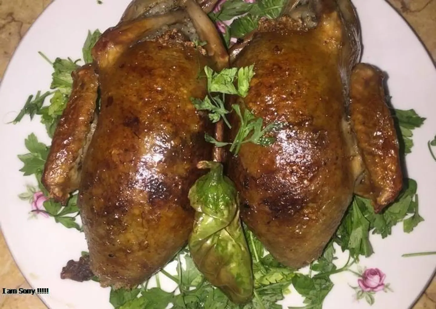 Stuffed Bird