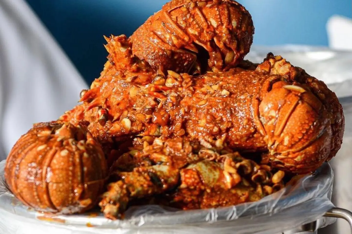 Lobster