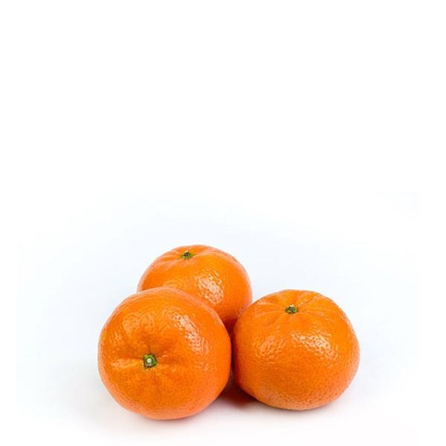 یوسف أفندي مغربي