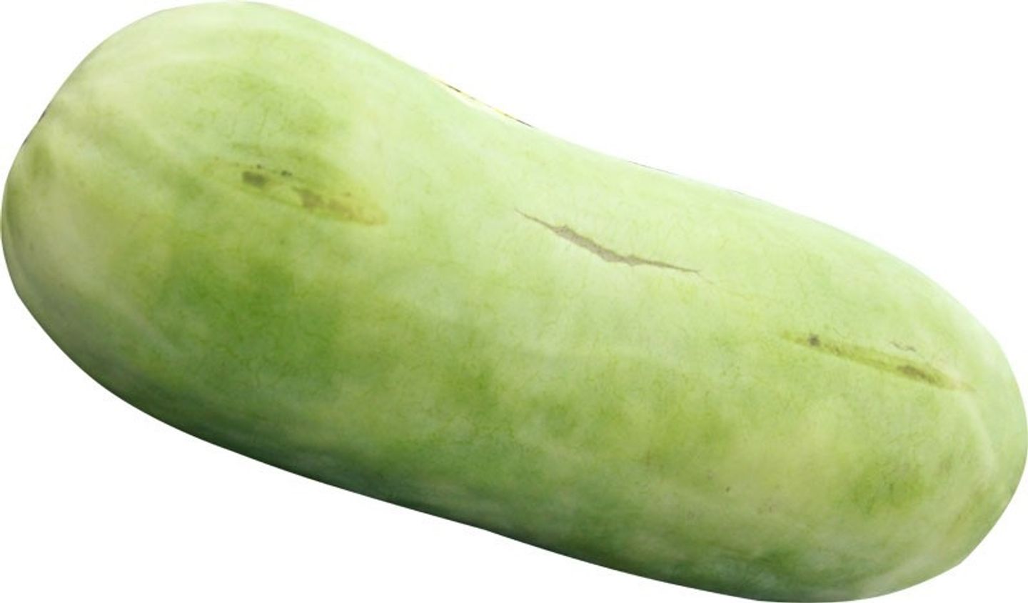بطيخ