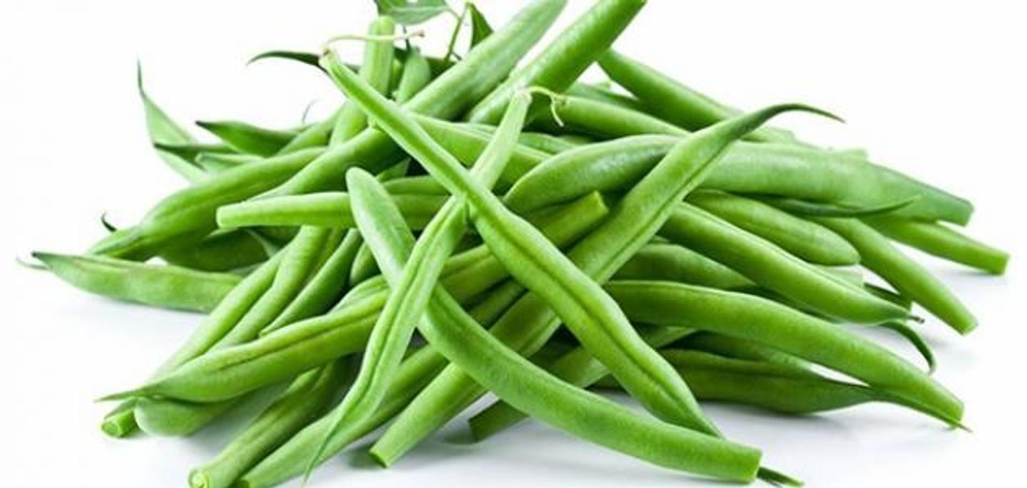فاصولیاء