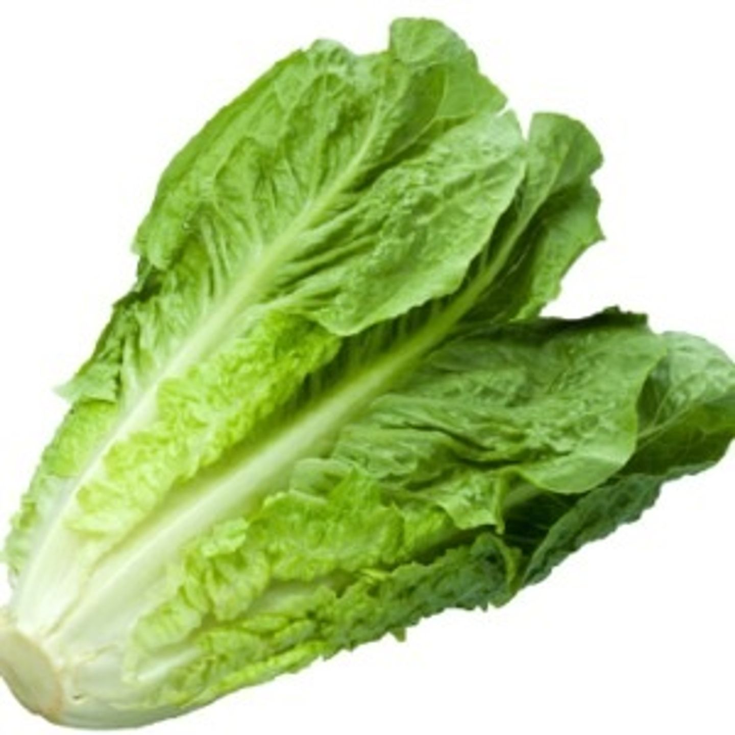 خس