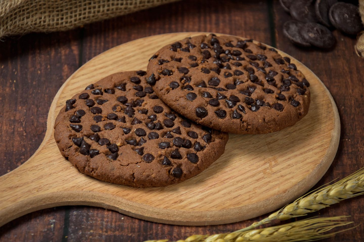 Cacao & Chocolate Chip Cookie