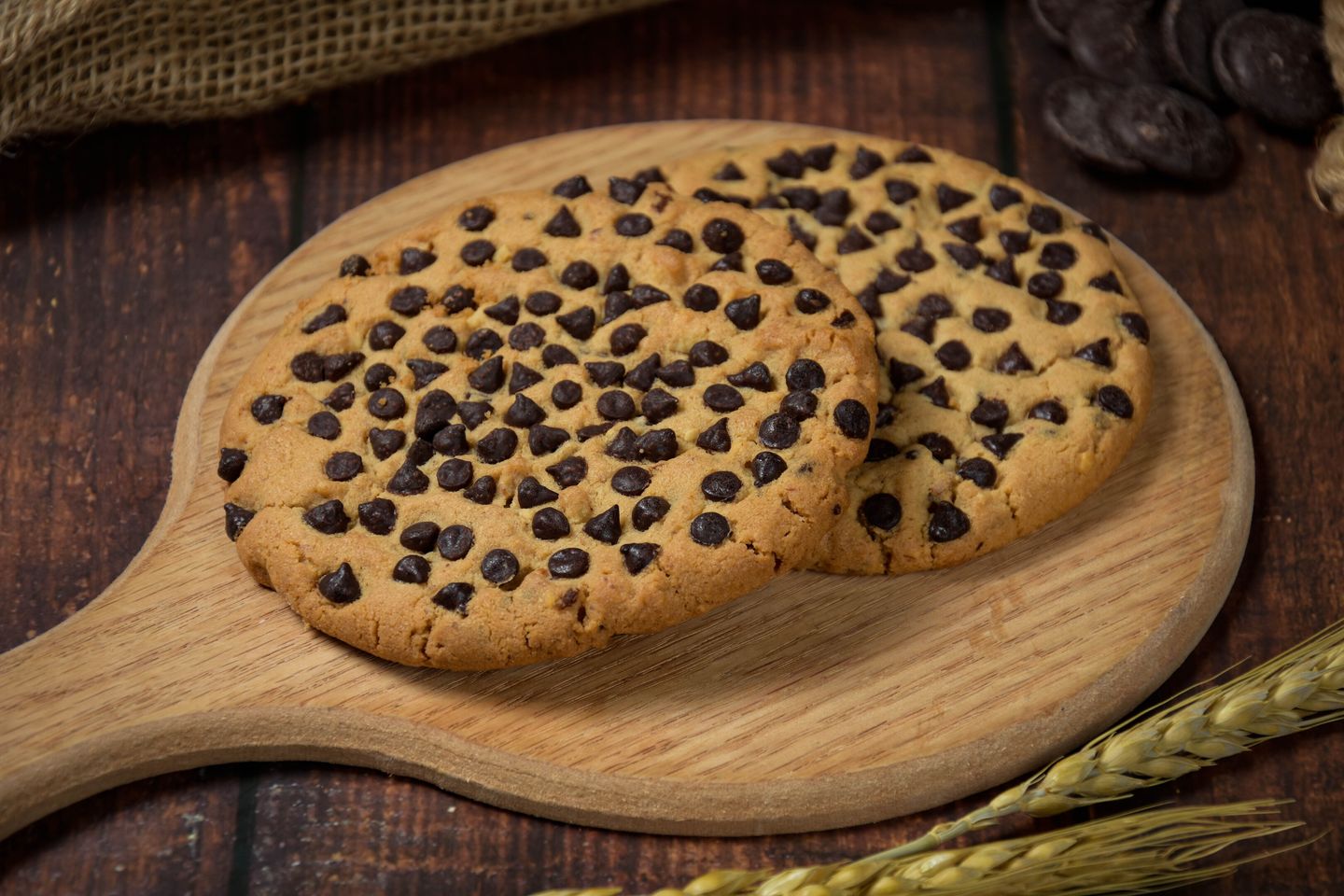 Chocolate Chip Cookie