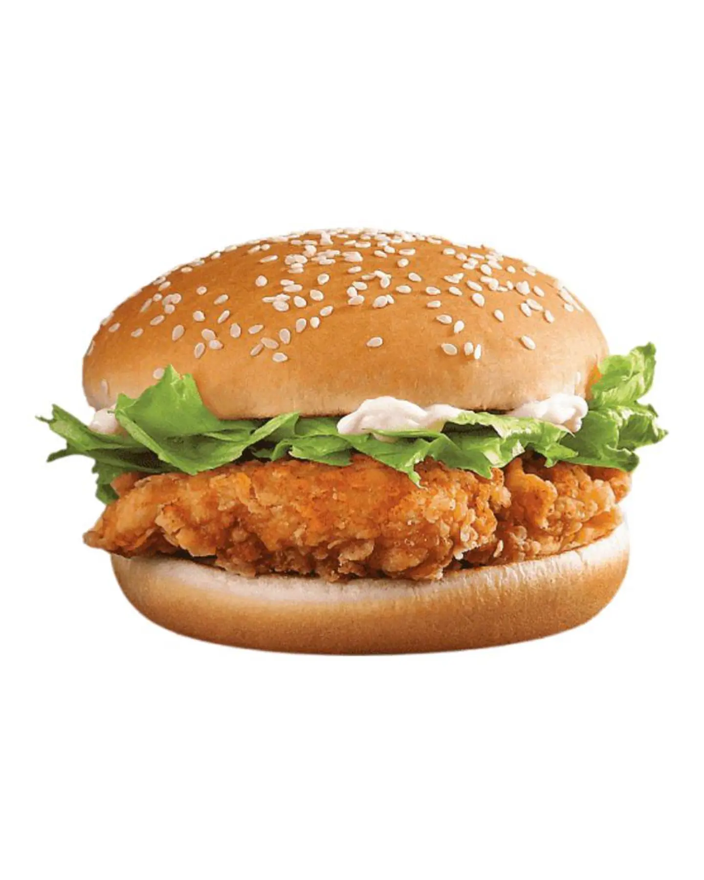 Chicken Burger With Cheese