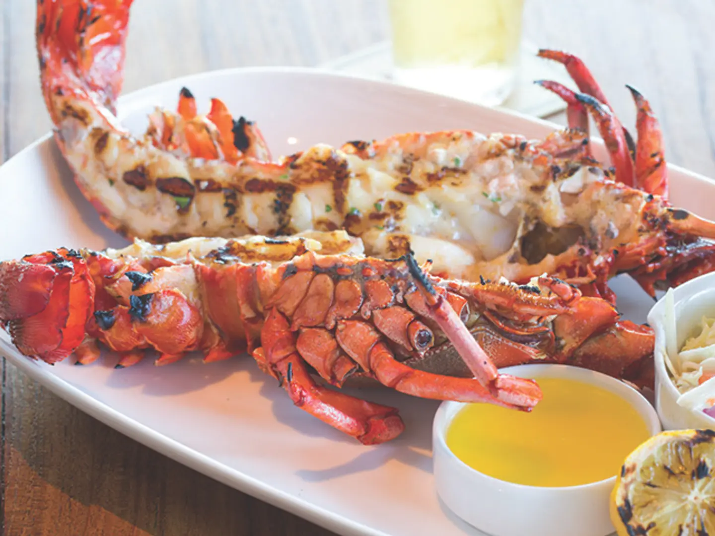 A Lsharqia  Lobster Travel