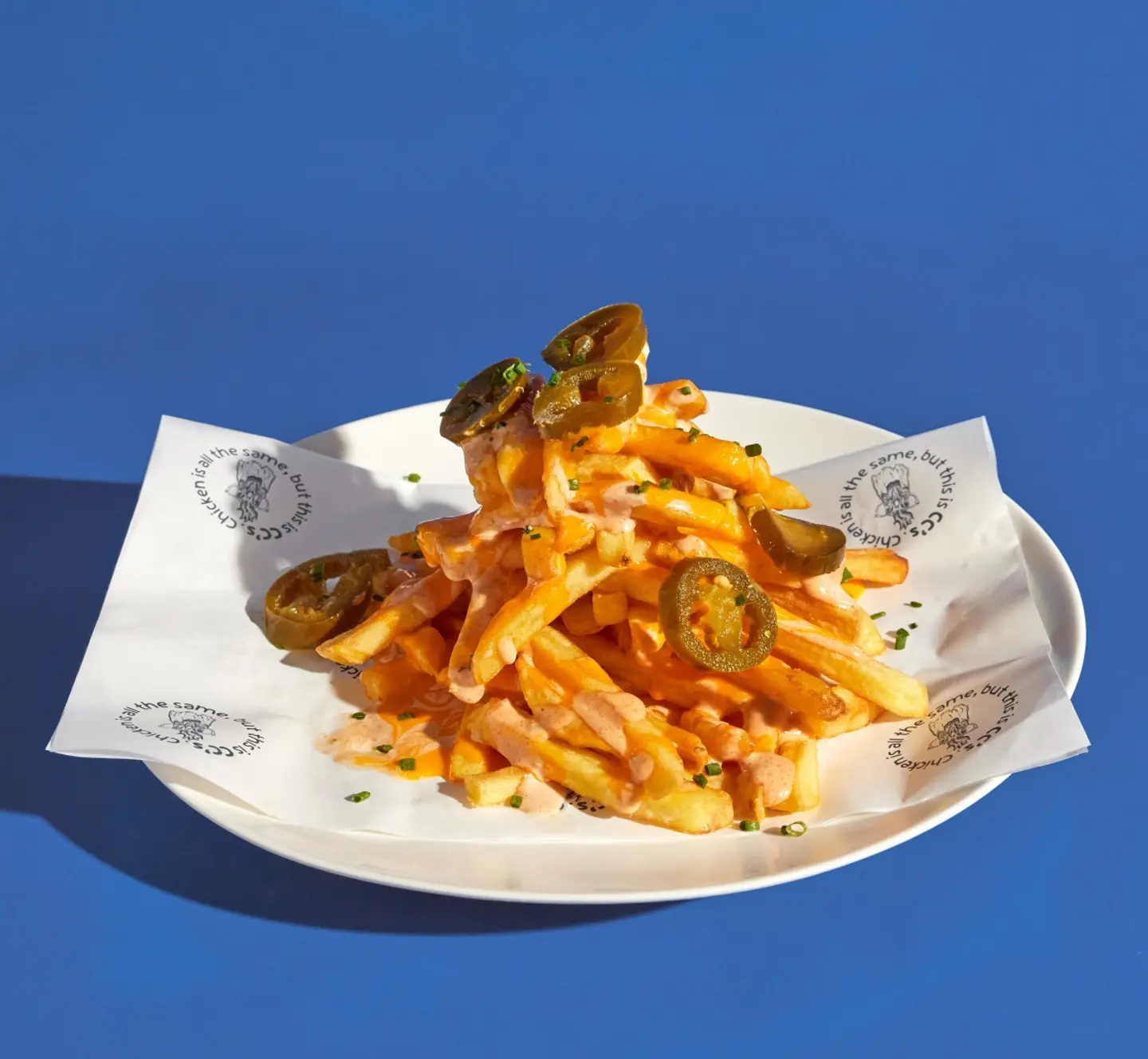 Special Fries