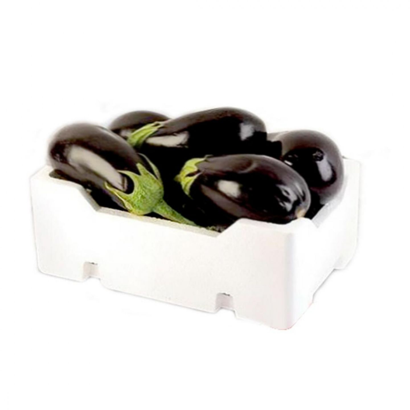 فلين باذنجان