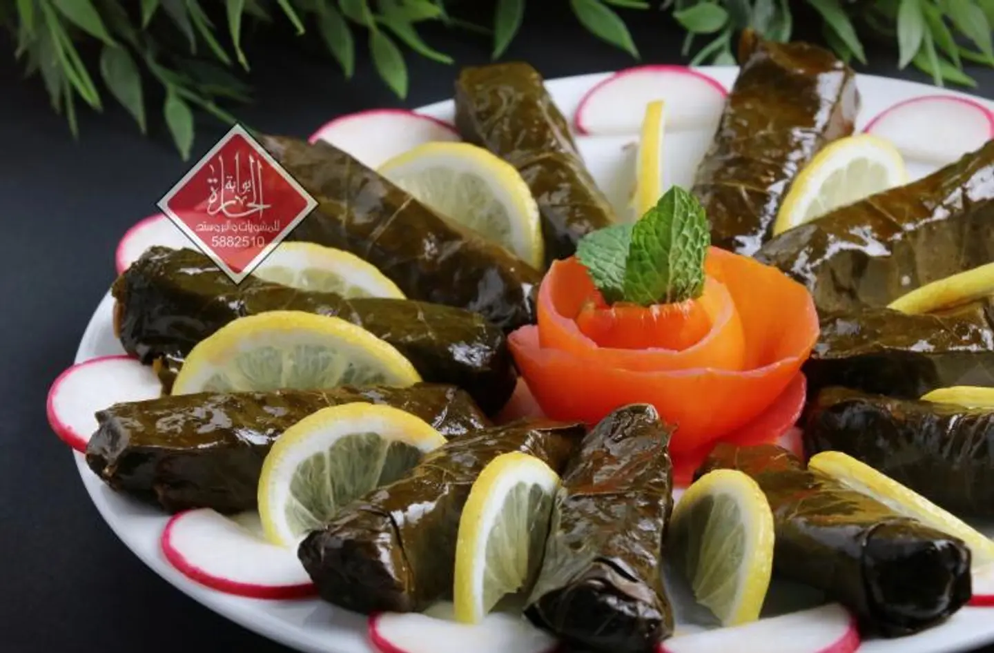 Fresh Grape Leaves