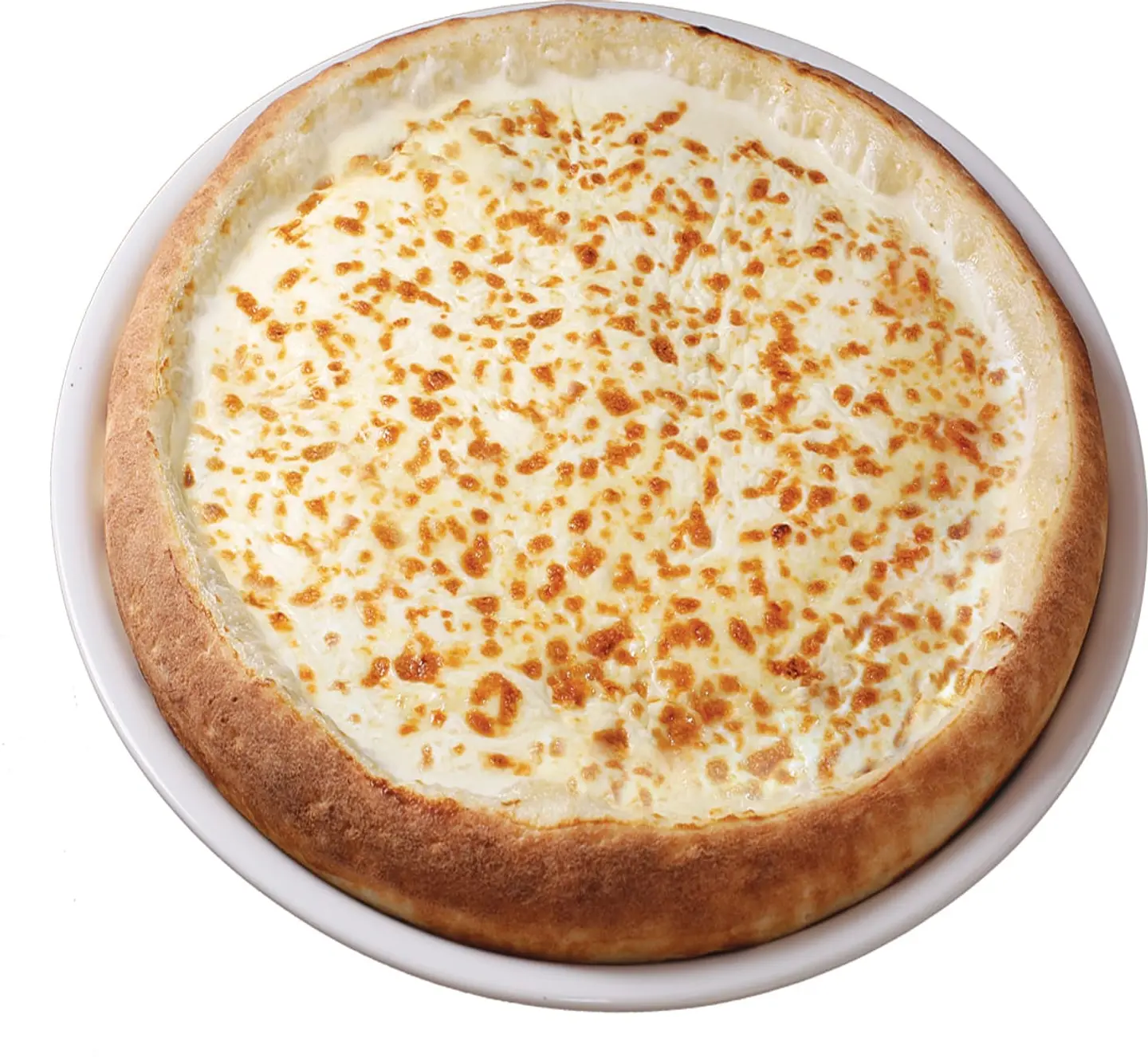 بيتزا عش البلبل