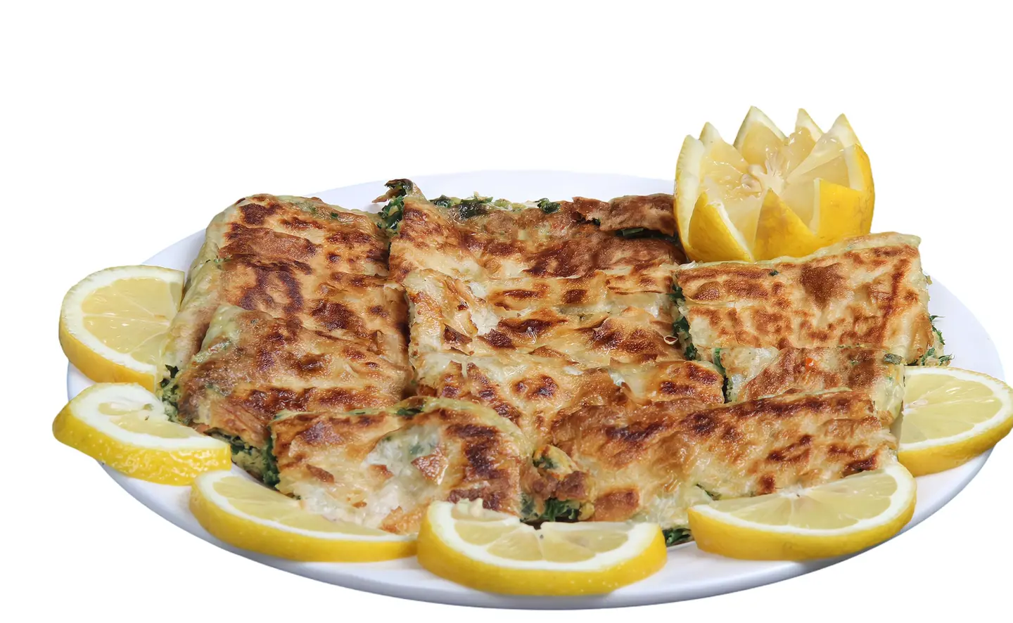مطبق دجاج