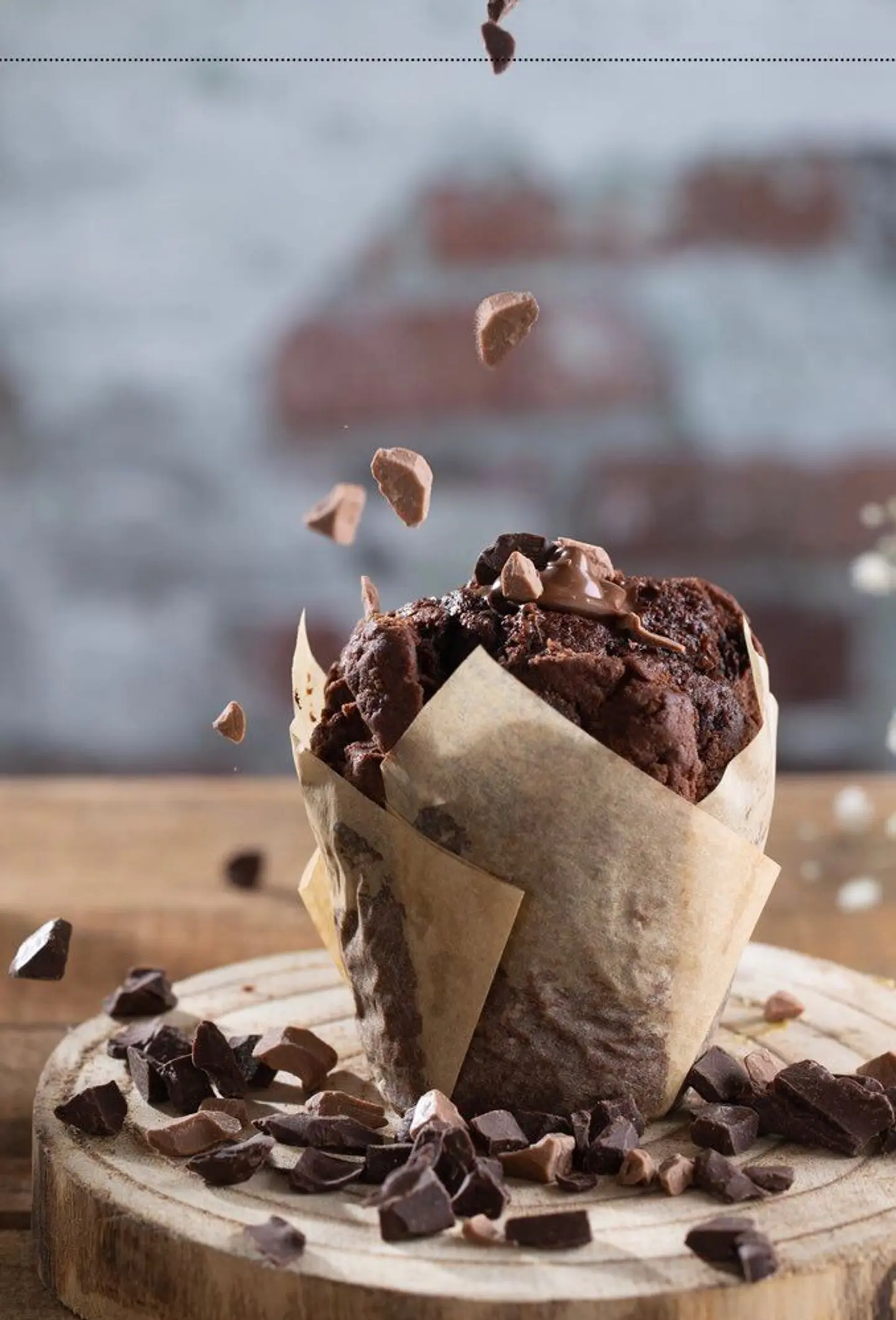 Chocolate Muffin