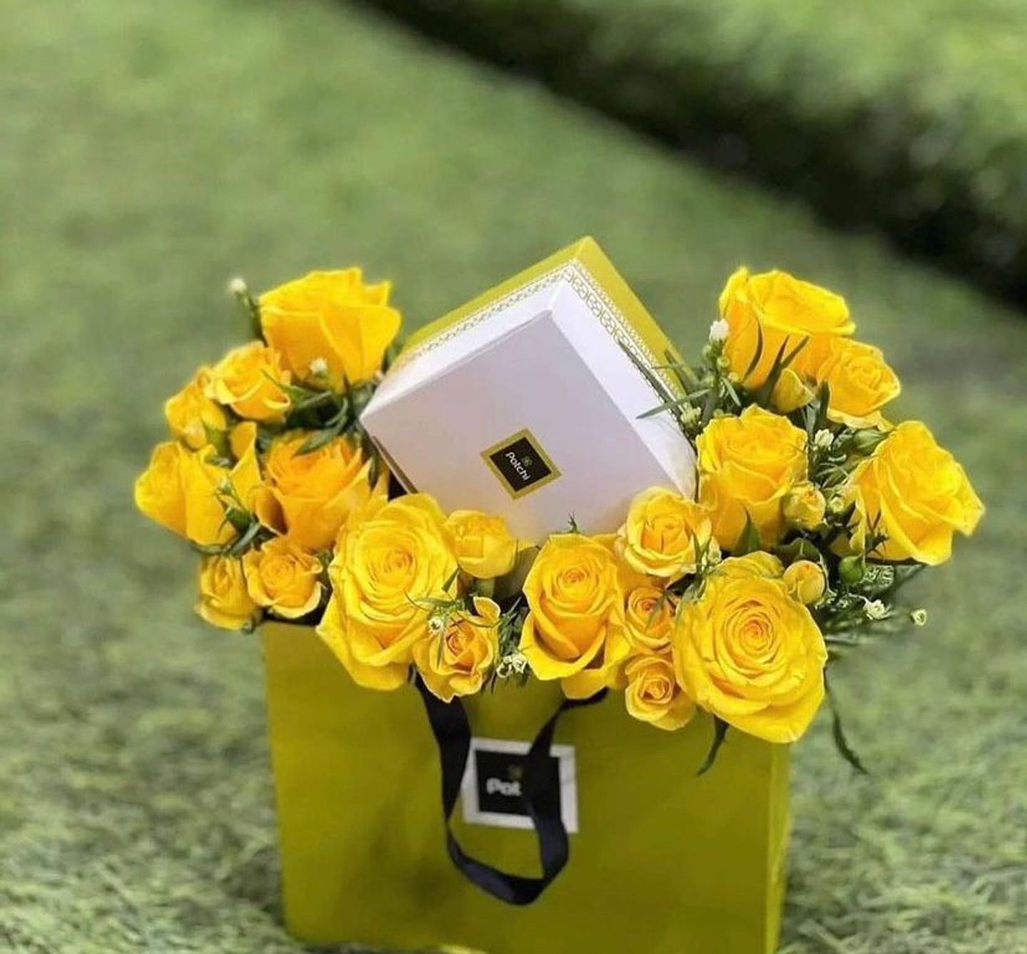 جوري اصفر مع باتشي