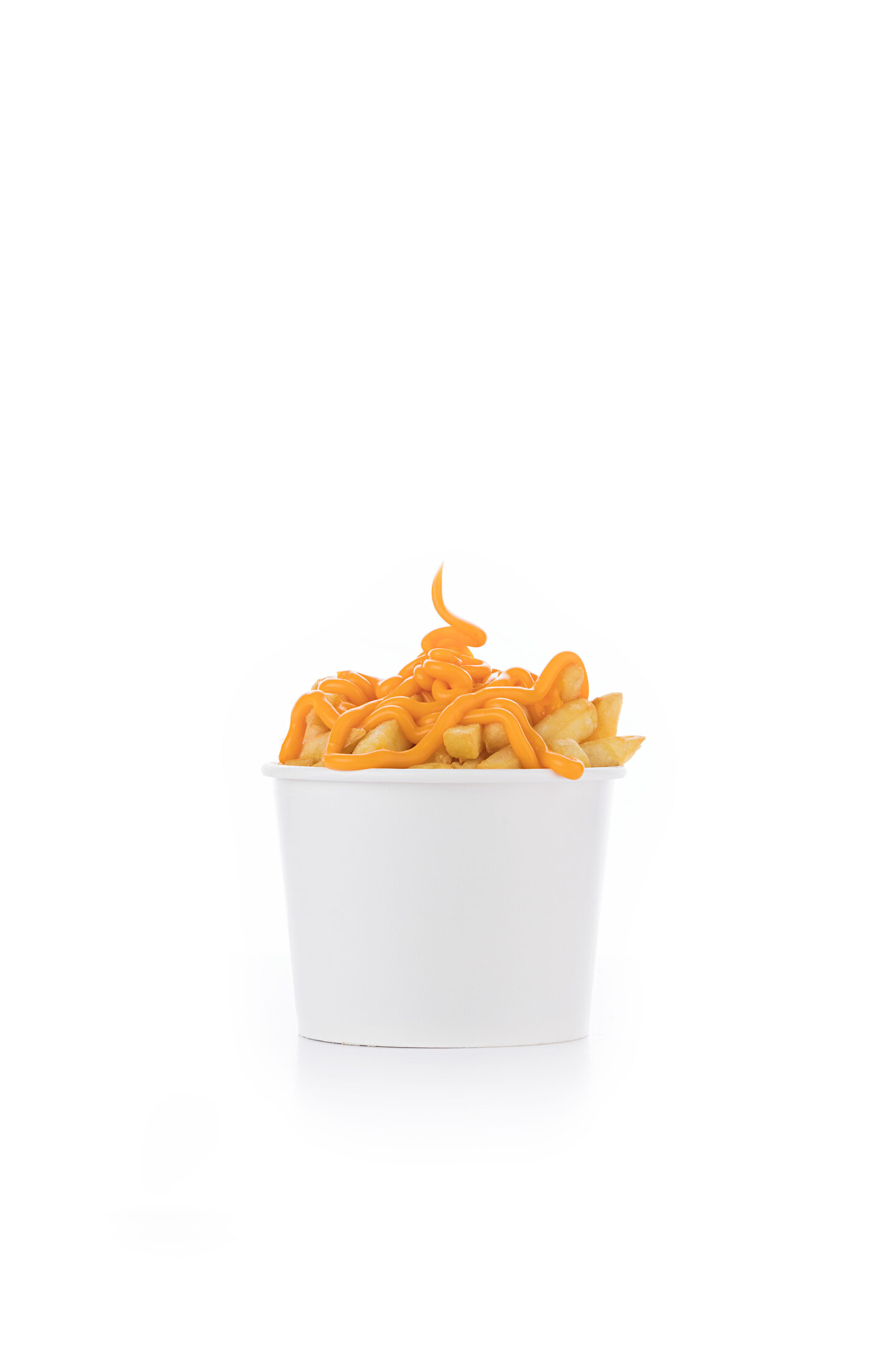 Cheese Fries