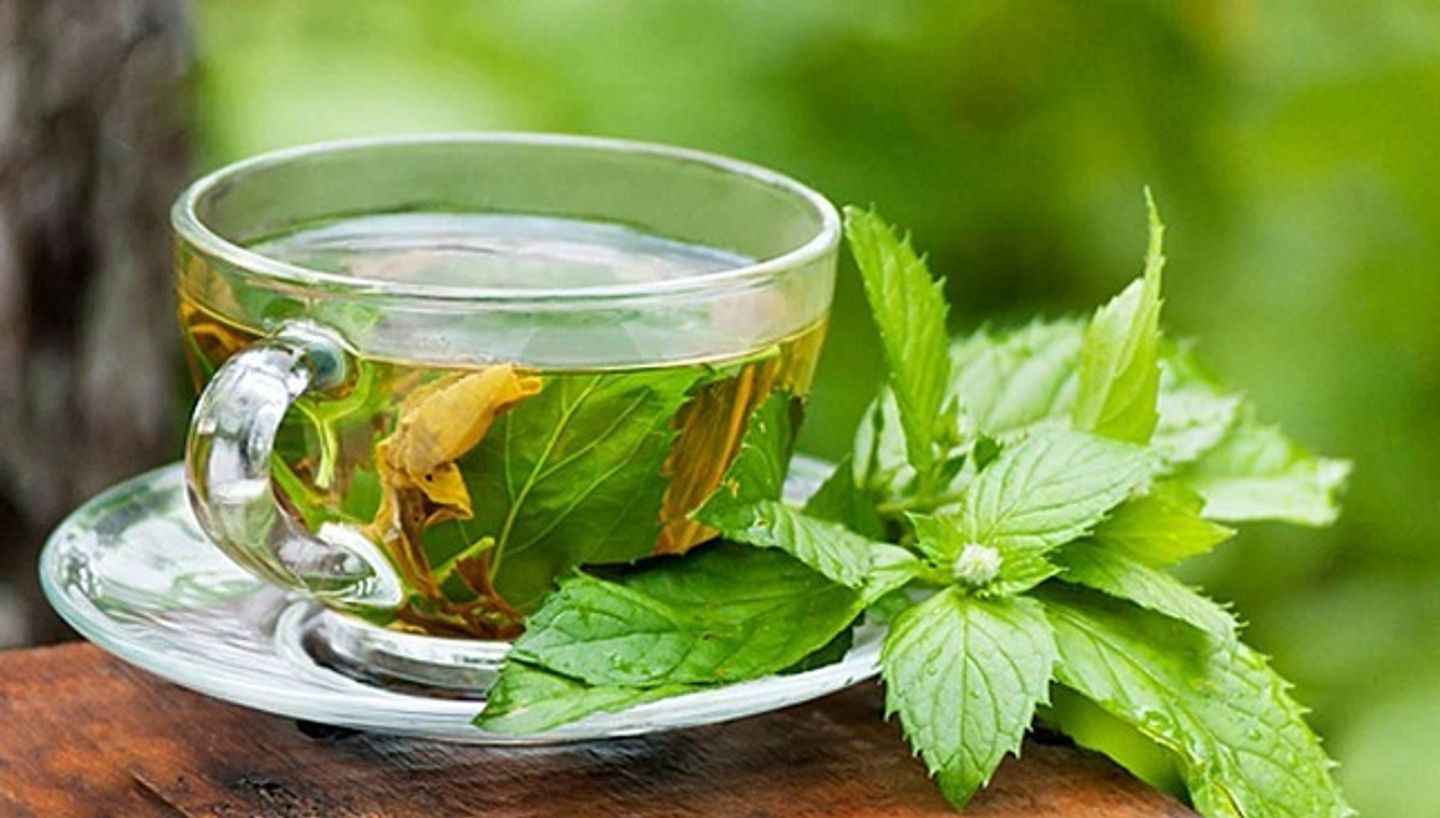 Green English Tea