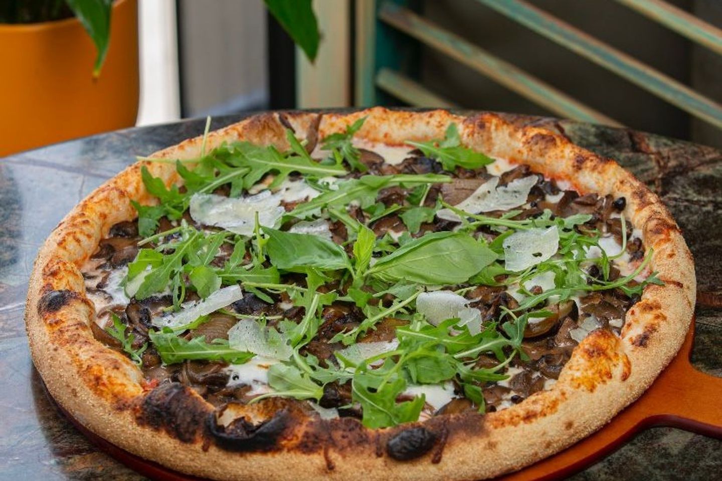 Wild Mushroom Pizza